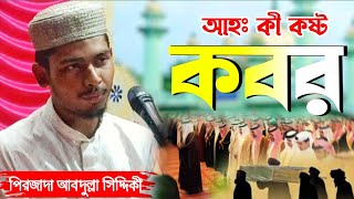 Pirzada Abdullah Siddiqui Waz┇আহঃ কান্না ভরা ওয়াজ┇পিরজাদা আবদুল্লা সিদ্দিকী ওয়াজ┇Bangla Waz