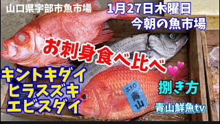 【魚市場】【刺身3品食べ比べ😋】【魚の捌き風景】【試食】今朝の魚市場1月27日木曜日の水揚げ状況