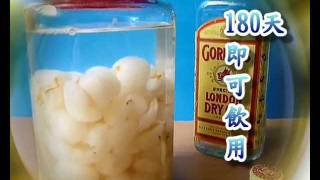 溫純酒 - 荔枝酒 (Lychee gin wine)【唯一製作】