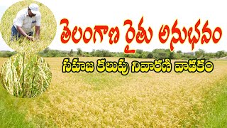 E17 | వరిలో కలుపు నివారణకి సహజ పరిష్కారం | Herbal Weed Control in Paddy | @GramaBazaar