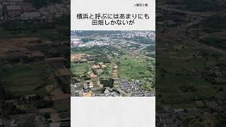 横浜市瀬谷区の紹介♪ #short #横浜 #横浜市 #瀬谷区 #ハッシュタグに瀬谷区が無いんだけどなんでだろう #ていねいな暮らし  #かわいい #神奈川 #田舎