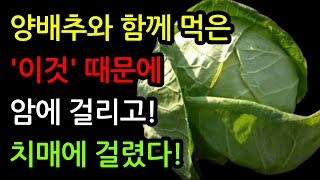 양배추와 '이것' 함께 먹으면 큰병 걸립니다! 암과 치매에 걸릴 수 있어요! 최악의 궁합 3가지와 보약보다 좋은 최고의 레시피 3가지 양배추 효능, 건강 식단, 아침 공복