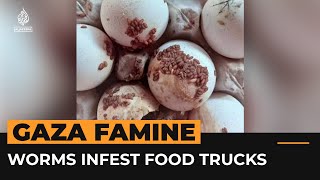 Worms, insects infest Gaza bound food stuck rotting in Egyptian sun | Al Jazeera Newsfeed