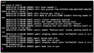 Getting Started with Consul: Using the Web UI