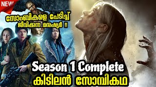 Black Summer Zombie Series Season 1 Explained in Malayalam