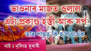 ভাওনাৰ মাজত ওলাল এটা প্ৰকাণ্ড হস্তী আৰু সৰ্প || নাট : নৃসিংহ মুৰাৰী || স্থান : হাফলুটিং || শিৱসাগৰ