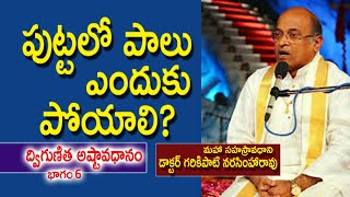 పుట్టలో పాలు ఎందుకు పోయాలి? | Garikipati Narasimha Rao | Dwigunitha Ashtavadhanam | Kopparapu Kavulu