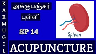 வயிறு சம்பந்தப்பட்ட நோய்கள் சரி செய்ய உதவும் முக்கிய புள்ளி #Sp 14