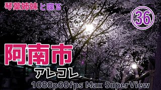 【琴葉車載36】阿南市近隣ドライブ 阿南市アレコレ(半分嘘) 富岡商店街周辺走行