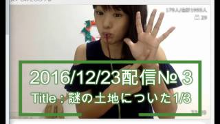 12月23日-3-1/3☆ここがどこだなんて詮索しないで！ ☆内容は見てのお楽しみニャン♪【つばにゃん・金バエ劇場】