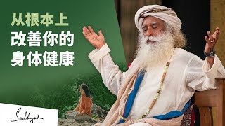 如何从根本上改善你的身体健康？| Sadhguru 萨古鲁