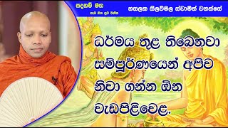 ධර්මය තුළ තිබෙනවා සම්පූර්ණයෙන් අපිව නිවා ගන්න ඕන වැඩපිළිවෙළ.1329Ven Hasalaka Seelawimala Thero