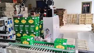 Upgrade Your Factory Efficiency with Advanced Packaging Solutions