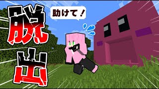 【マイクラ】カービィのお腹に吸い込まれてしまった結果！？【 マインクラフト / まいくら 】