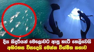 දිය කිදුරියන් මෙලොවට ආ හැටි හෙලිවෙයි අභිරහස විසදෙයි - The history of Mermaid marine creature