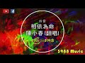 陳小春 相依為命 女生版 翻唱【粤语】 dj版 蹦d神曲 抖音 tiktok lagu 歌 蹦迪 2020 remix 慢摇