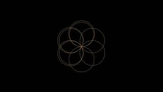 draw flower 🏵️ using python| python turtle graphic #python #pythonturtle @technicalworld9135