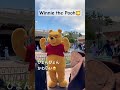 【ディズニー40周年★4 17】 プーさんグリーティング disney 神対応 winniethepooh