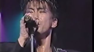 玉置浩二「熱視線」1988年武道館（安全地帯）