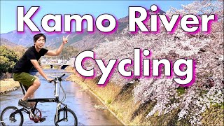 Kyoto’s Best Cycling in Cherry Blossom Season