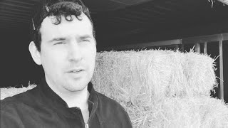 Does Pedigree Matter In Horses