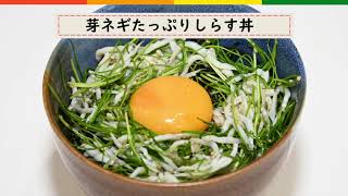 【簡単レシピ】芽ネギたっぷりしらす丼