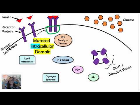 What would happen if a signal transduction pathway has mutated?