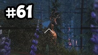 Grand Theft Auto 5 Part 61 Walkthrough Gameplay - Trevor Goes Hunting - Let's Play Playthrough