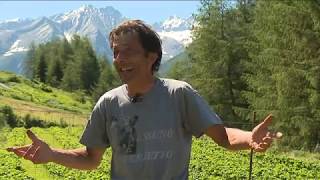 Italie. Giorgio, l'agriculteur qui voulait sauver la planète