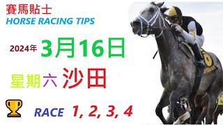 「賽馬貼士」🐴  2023 年 3 月 16 日 沙田🐴    香港賽馬貼士  HONG KONG HORSE RACING TIPS  🐴 RACE  1  2  3  4