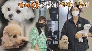 반려동물과 편안하게 떠날 수 있는 전세기 투어✈️ 펫키지(petkage) 1회 | JTBC 210826 방송