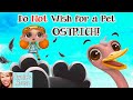 🌠 Kids Book Read Aloud: DO NOT WISH FOR A PET OSTRICH! by Sarina Siebenaler and Gabby Carreia