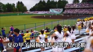 2016夏の甲子園栃木大会準々決勝作新高校対文星芸大高校