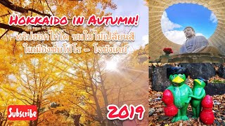 Hokkaido in Autumn! ทริปไฮไลท์ ชมใบไม้เปลี่ยนสี ในเมืองซับโปโร โจซังเคย์ | ทัวร์กุ๊กไก่โกอินเตอร์