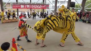 白鳥虎獅子獅子舞「白鳥神社虎頭の舞保存会」２０１９