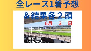 ３分版1着予想、中央競馬全レース各２頭６月３日★自己責任