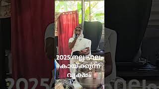 2025 നല്ല ഫലം കായ്ക്കുന്ന വൃക്ഷമായി മാറാം ( സിസ്റ്റർ ഗീത അരുവിക്കര)