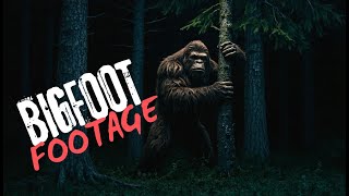 8 Incredible Bigfoot Videos That Will Leave You Speechless!