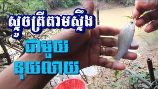 Fishing in the river# អស់ប្លង់បបក់យូរ មានតែស្ទូចត្រីតាមស្ទឹងម្ដង