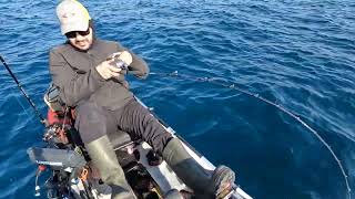 Kayak Fishing - Slow Jigging  / Sinarit (Dentex)