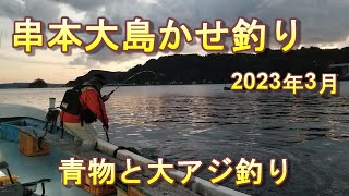 串本大島かせつり　イワシフカセで青物と胴つき仕掛で大アジねらい