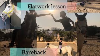 Flatwork lesson + bareback🐎|Equine Edith