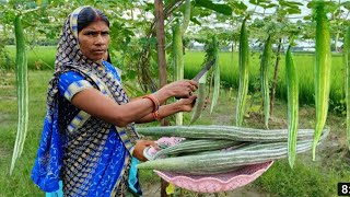 अगर ऐसे बनाएंगे भरवां चिचिंडा तो उंगलियाँ चाटते रह जायेंगे,Bharwa chichira recipe ,चिचिंडा का sabji,