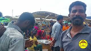 காசிமேட்டில் மீன் விலை ஏலத்தில் குறைவாகத்தான் இருக்குமா?/Kasimedu Fish  Auction/Fish Market vlogs