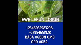 ASIRI ÌWULO EWE LEFUN L'OSUN, +2348032983298, +22954651929, +225 0506134943 CONTINUE 👉 👉