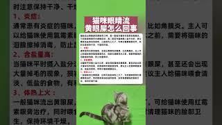 猫咪眼睛流黄眼屎怎么回事 #萌宠 #猫 #养猫 #猫咪 #宠物 #萌宠出道计划 #cat #pets #cute