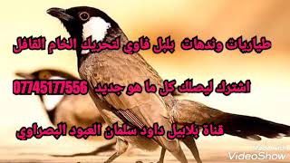 طياريات وندهات #بلبل_نثيه٪_٪لفتح الخام بلابل البصره الفاو لا تنسى الاشتراك في القناة لطفآ 🔔