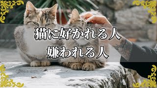 猫に好かれやすい人の性格やスピリチュアルな特徴！嫌われやすい人との違いは？【チャンネルダイス】音声付き