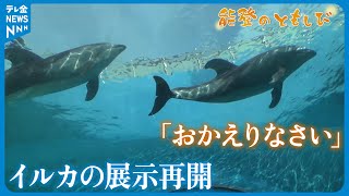 【映像ライブラリー】能登のともしび～「お帰りなさい！」のとじま水族館に帰還のイルカ　展示を再開