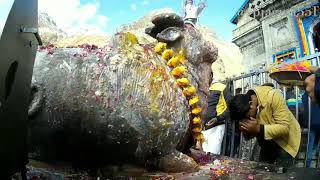 #kedarnath_tempal #kedarnath_jyotirling #shiv_stotr_shiv_ #chardham_devbhoomi_ #प्रभुं_प्राणनाथं_